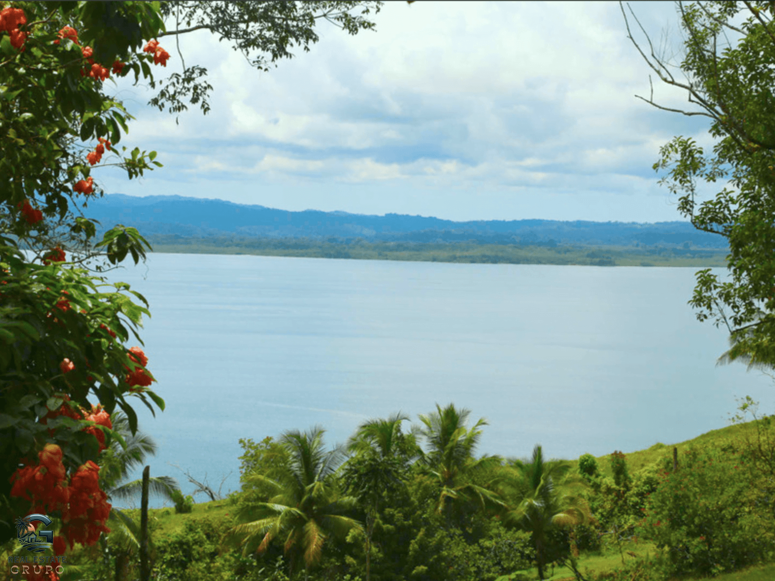 צילום מסך 2024-02-02 ב-11.39.11