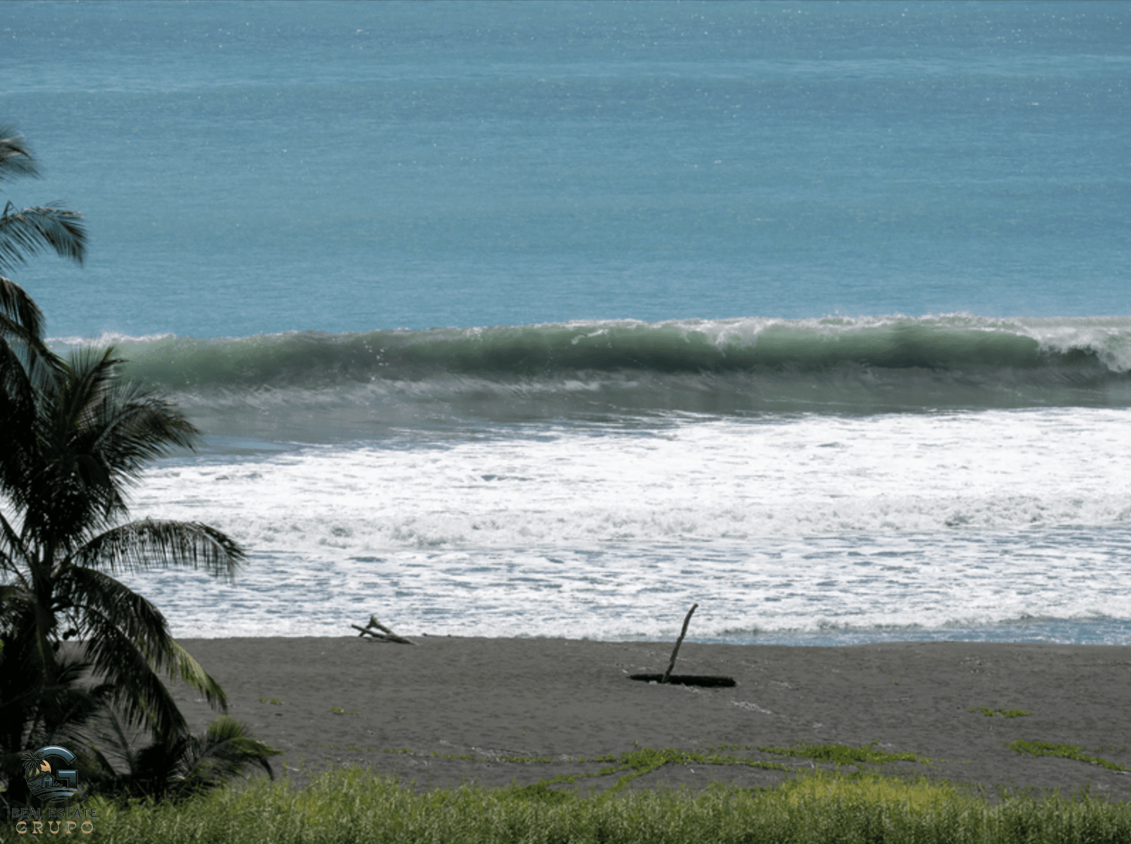 צילום מסך 2024-02-02 ב-12.04.23