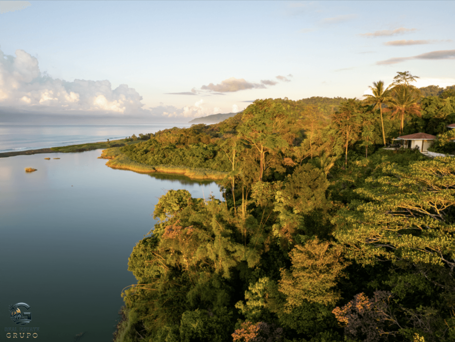 צילום מסך 2024-02-02 ב-12.04.29
