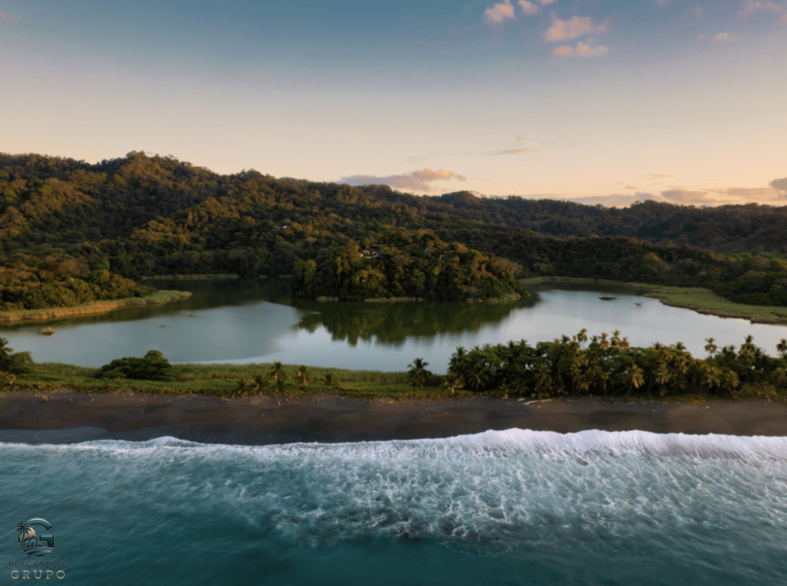 צילום מסך 2024-02-02 ב-12.04.35