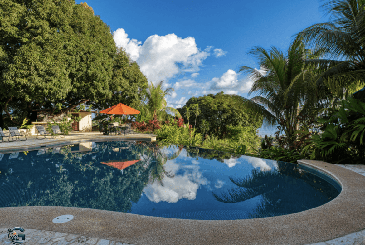 צילום מסך 2024-02-02 ב-12.05.00