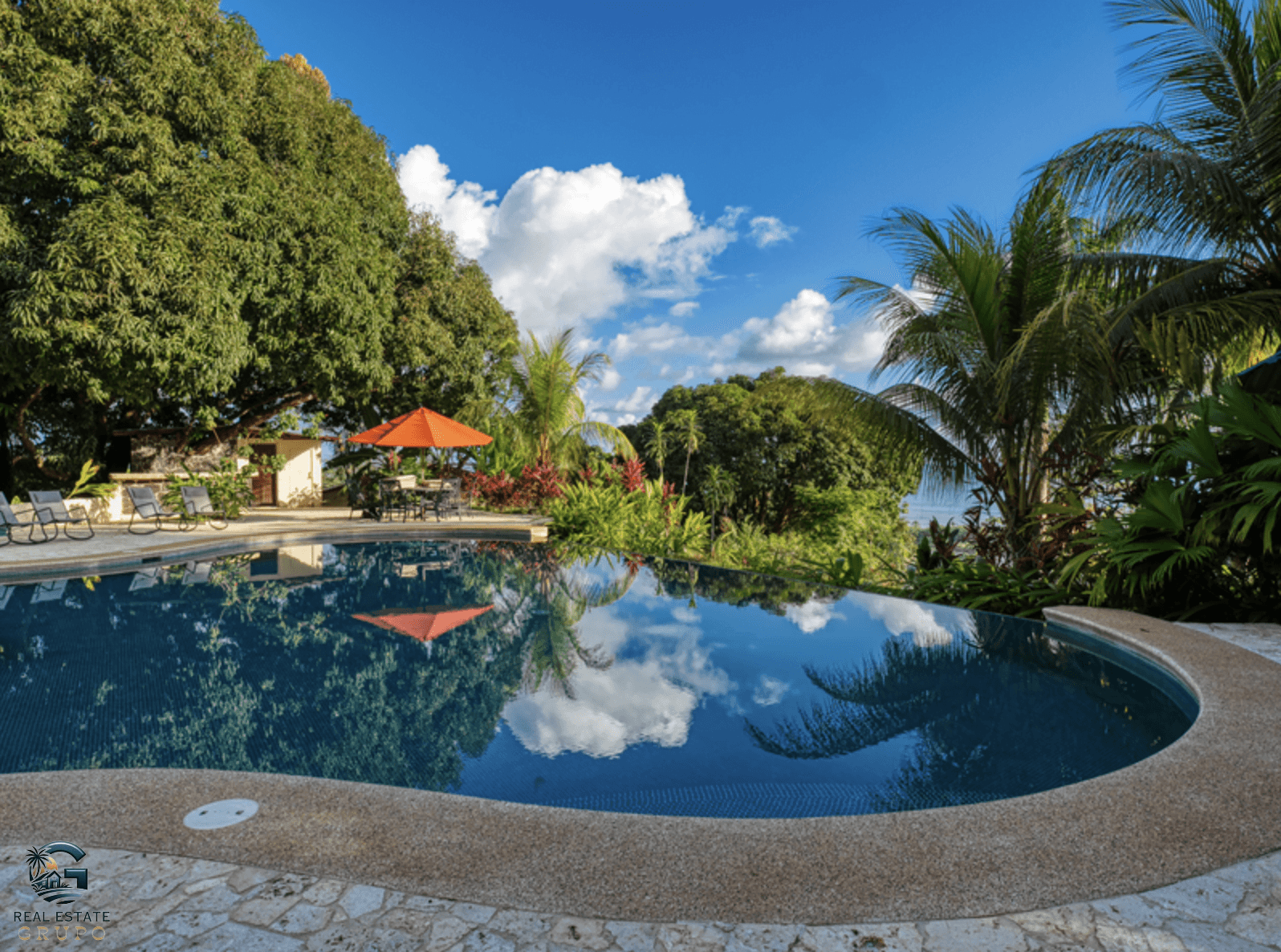 צילום מסך 2024-02-02 ב-12.05.00