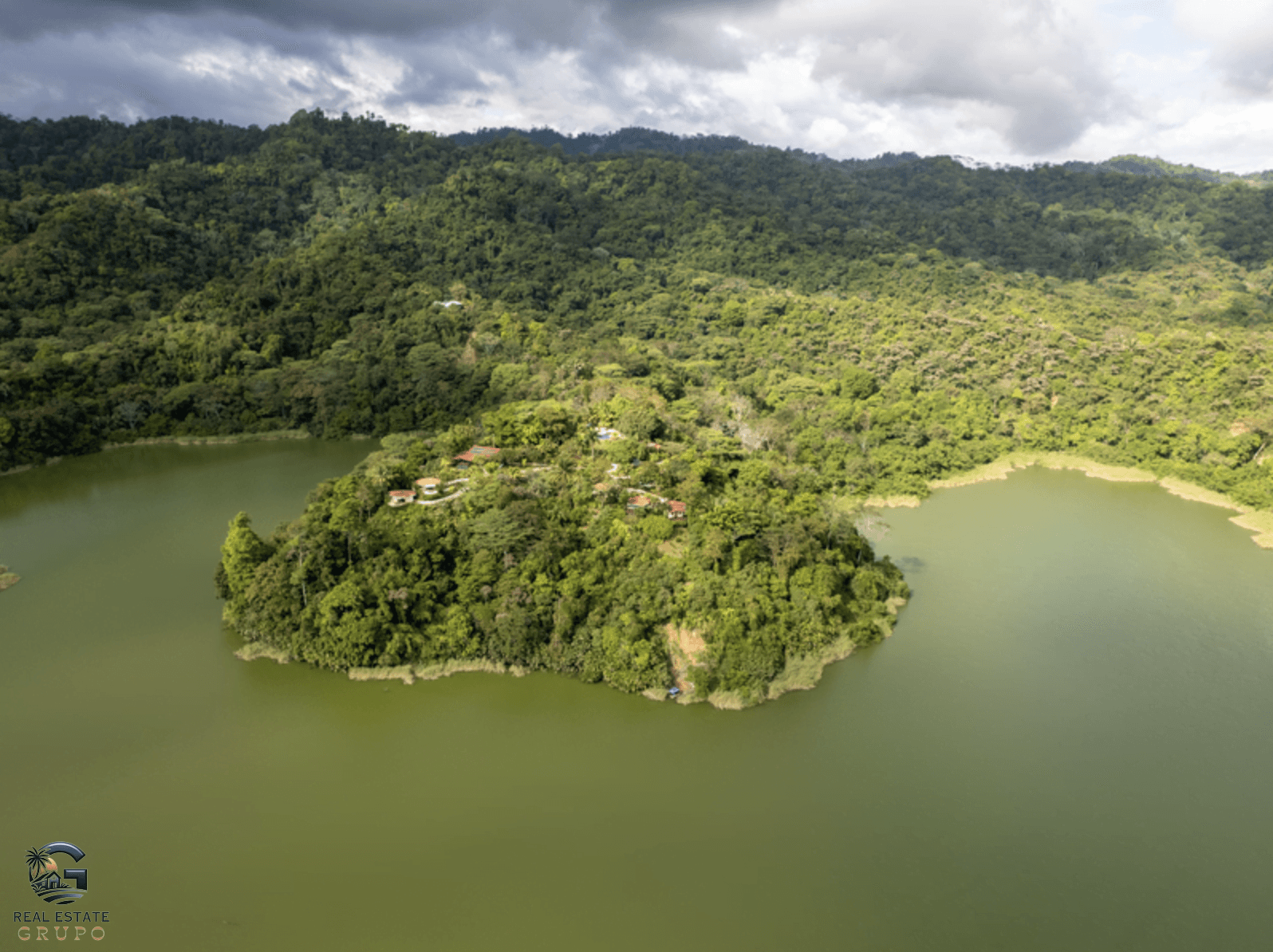 צילום מסך 2024-02-02 ב-12.05.39