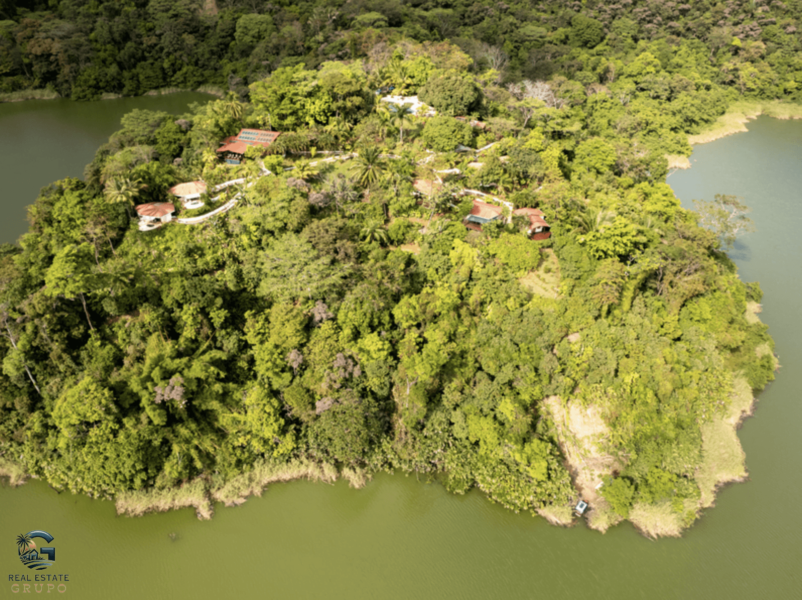 צילום מסך 2024-02-02 ב-12.05.48