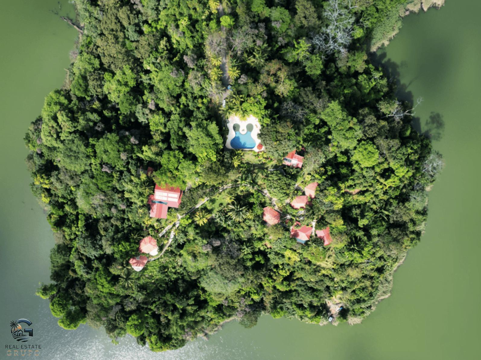 צילום מסך 2024-02-02 ב-12.05.54