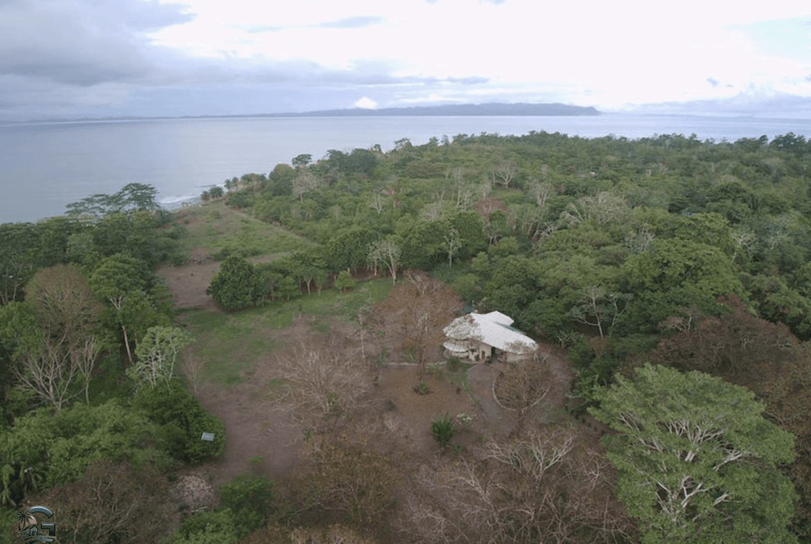 צילום מסך 2024-02-02 ב-9.01.03