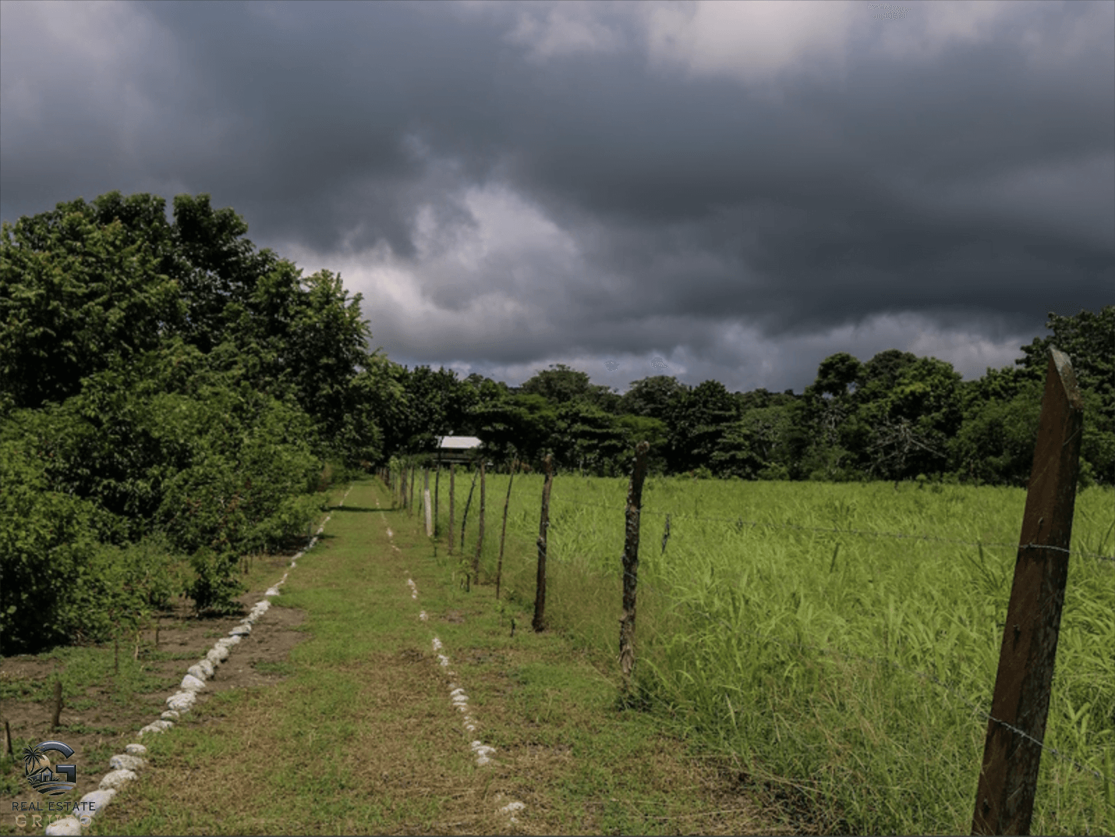 צילום מסך 2024-02-02 ב-9.01.07