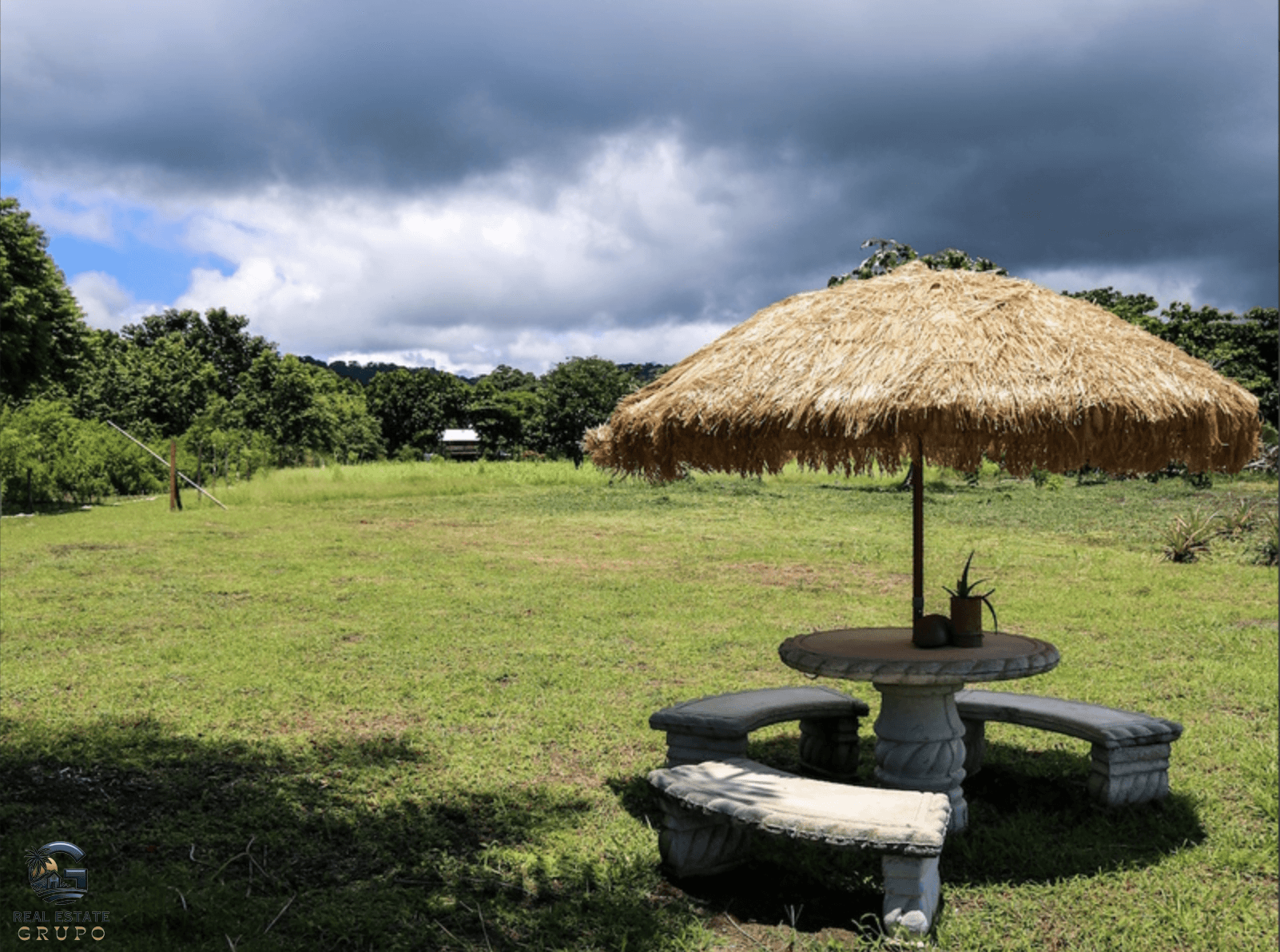 צילום מסך 2024-02-02 ב-9.01.11