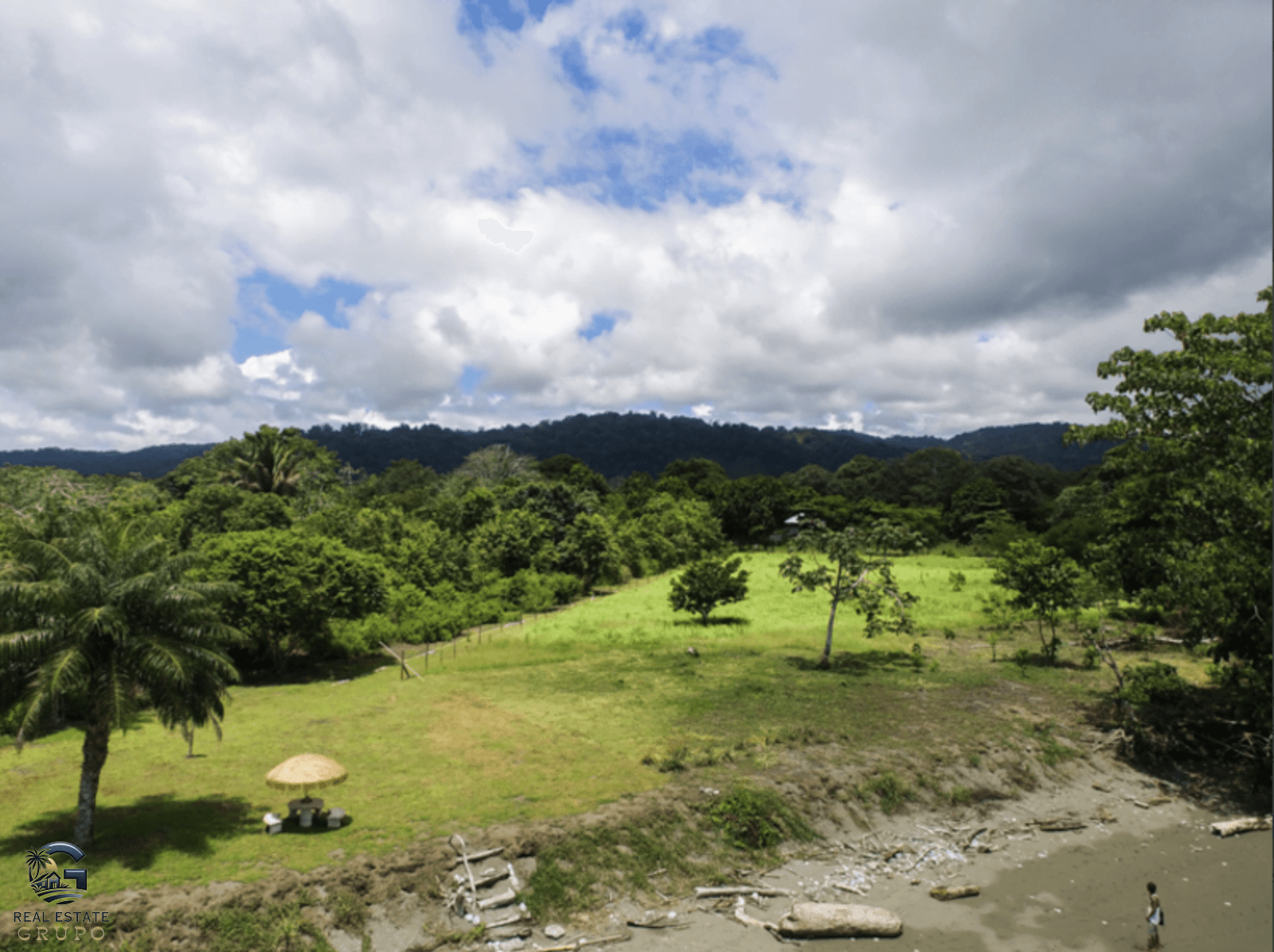 צילום מסך 2024-02-02 ב-9.01.18