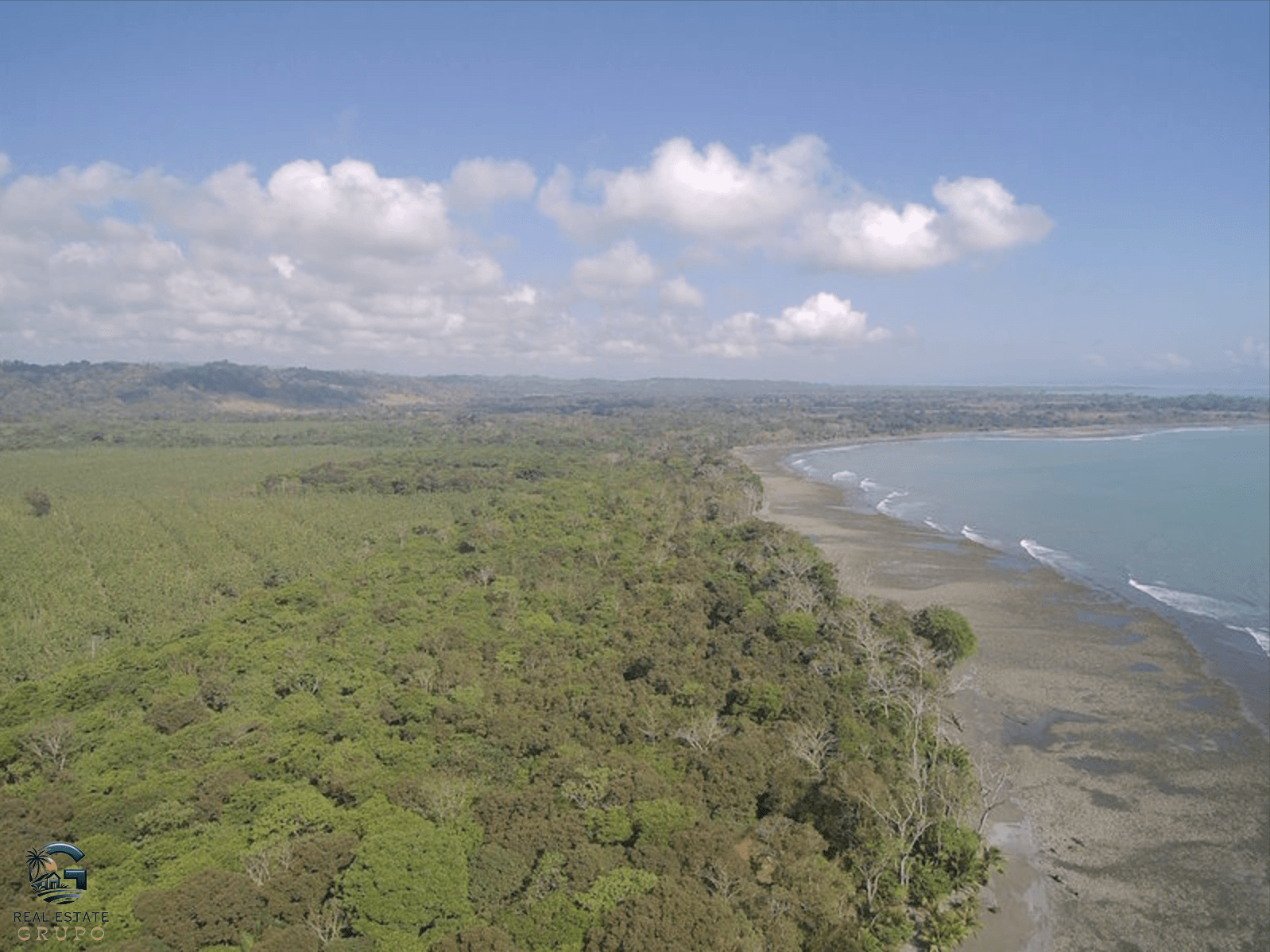 צילום מסך 2024-02-02 ב-9.02.37