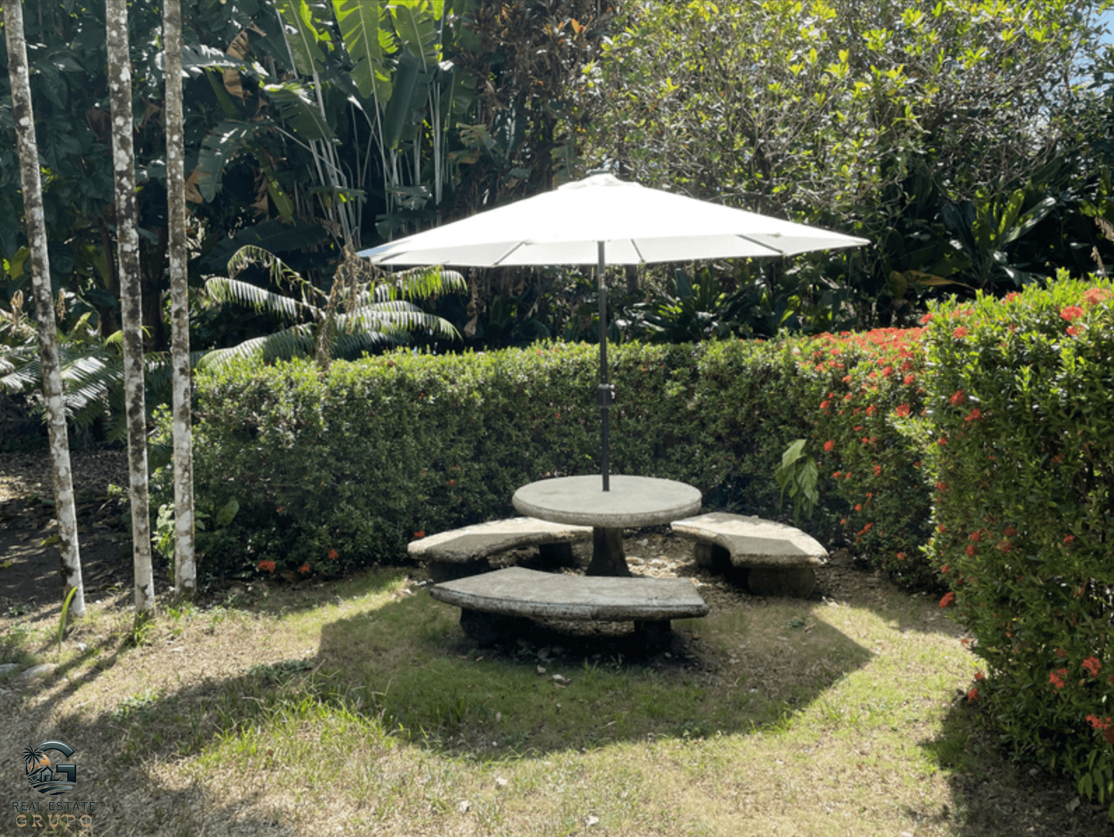 צילום מסך 2024-02-02 ב-9.11.50