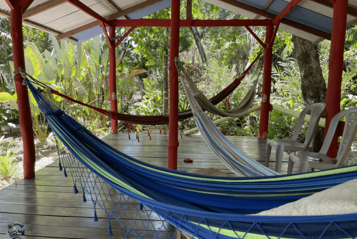 צילום מסך 2024-02-02 ב-9.12.36