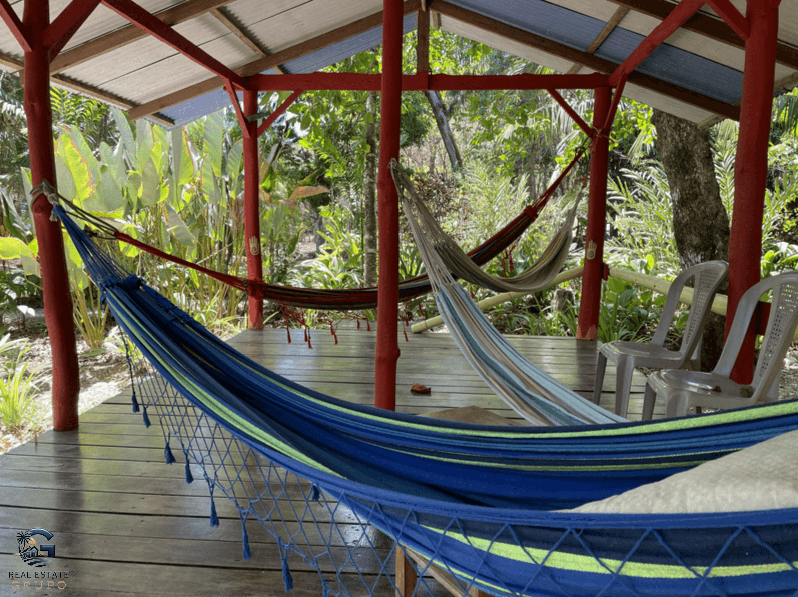 צילום מסך 2024-02-02 ב-9.12.36