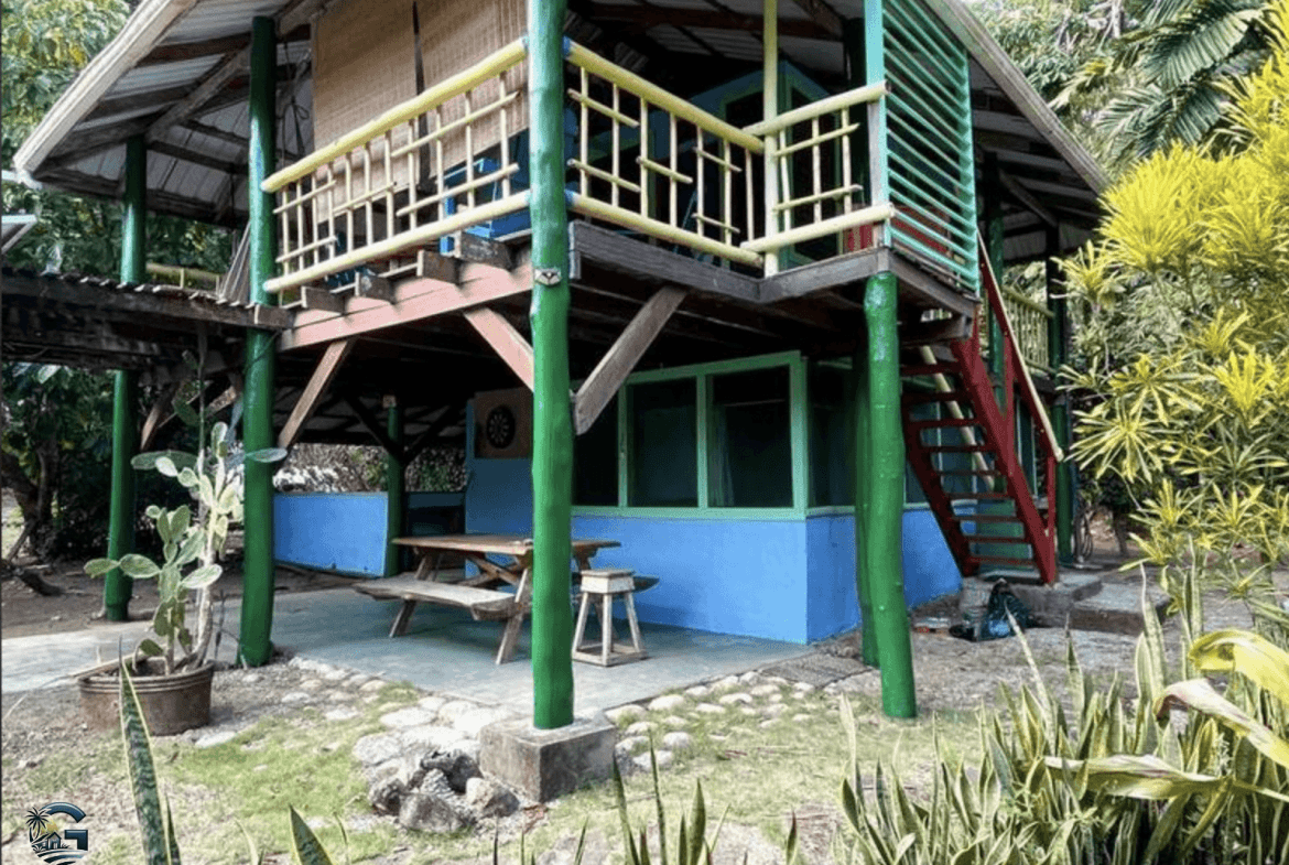 צילום מסך 2024-02-02 ב-9.12.50