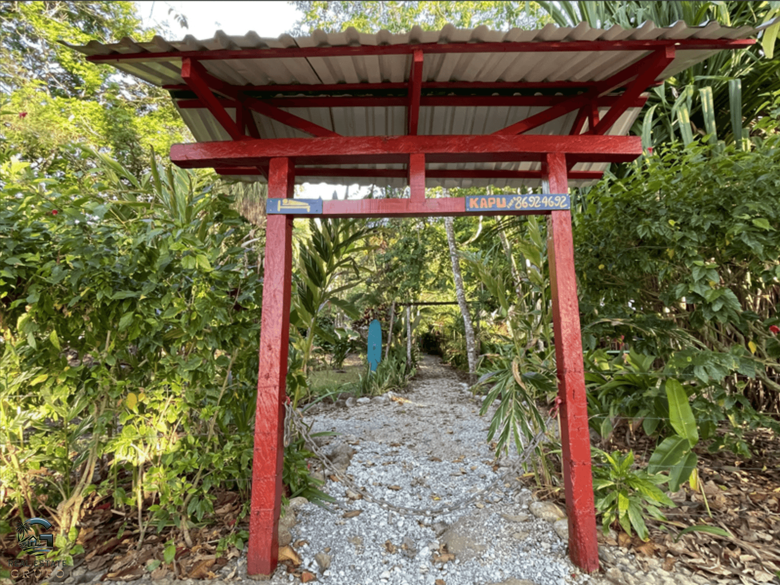 צילום מסך 2024-02-02 ב-9.13.06