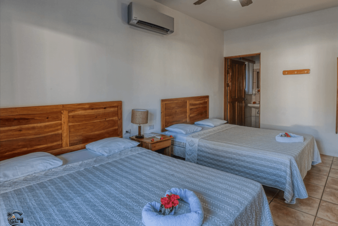 צילום מסך 2024-02-02 ב-9.53.51