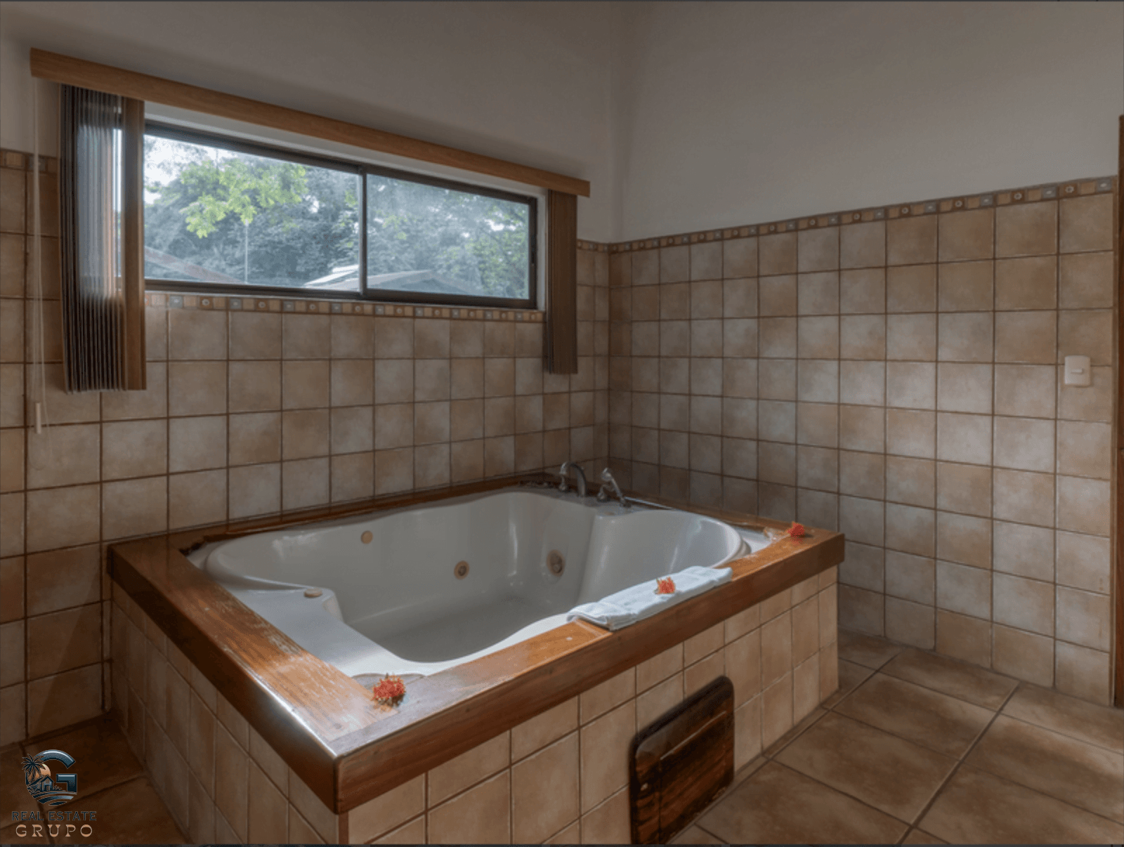 צילום מסך 2024-02-02 ב-9.53.56