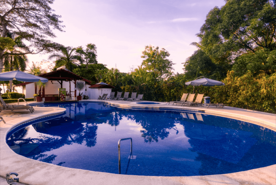 צילום מסך 2024-02-02 ב-9.54.11