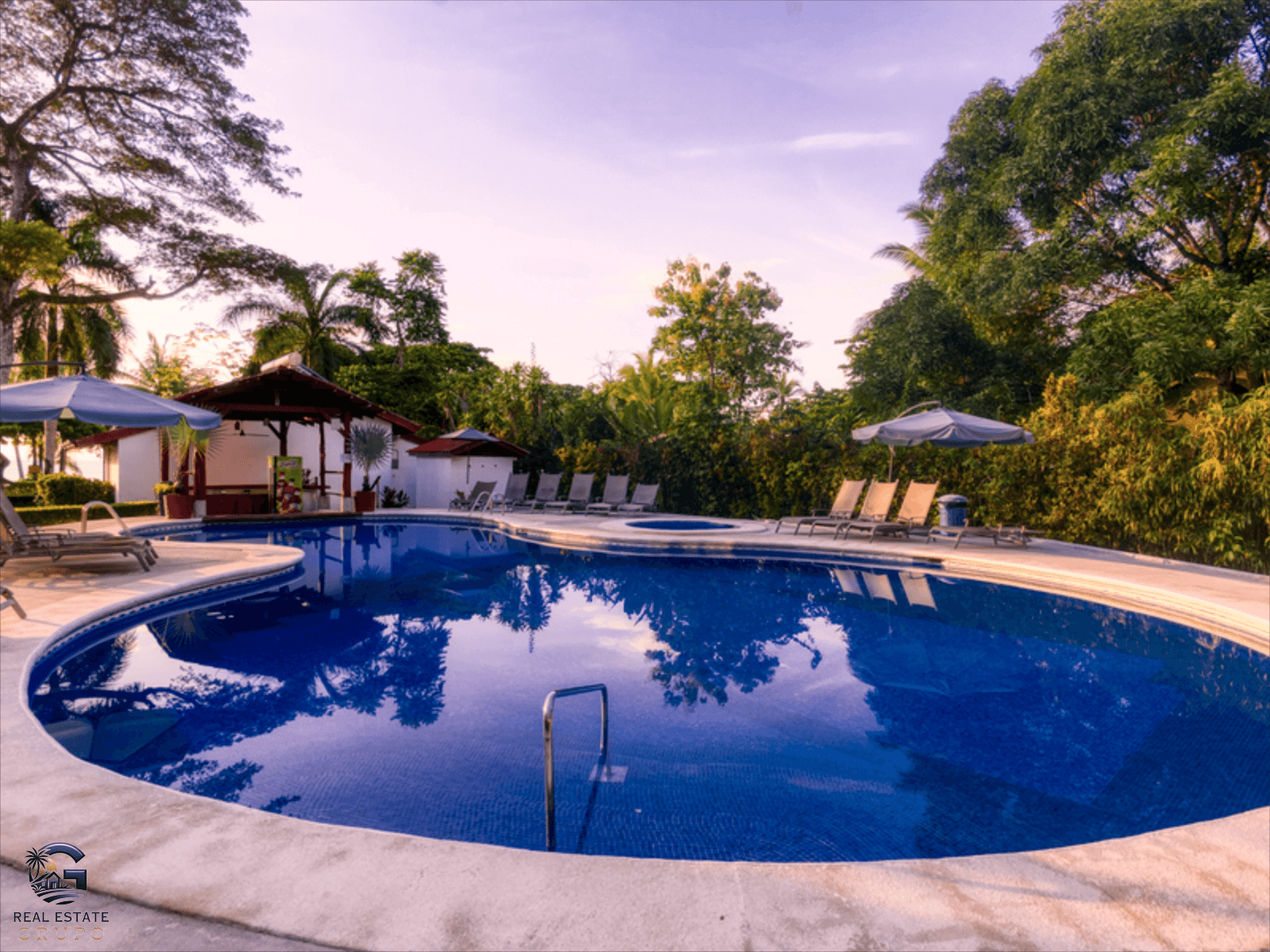 צילום מסך 2024-02-02 ב-9.54.11