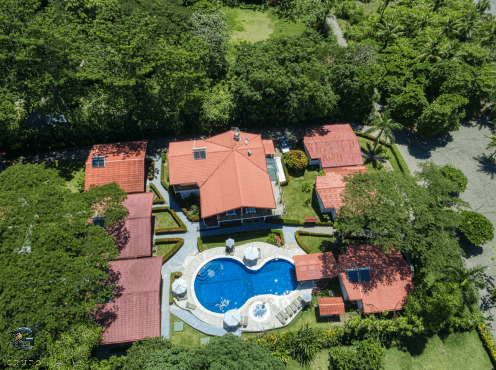 צילום מסך 2024-02-02 ב-9.54.18