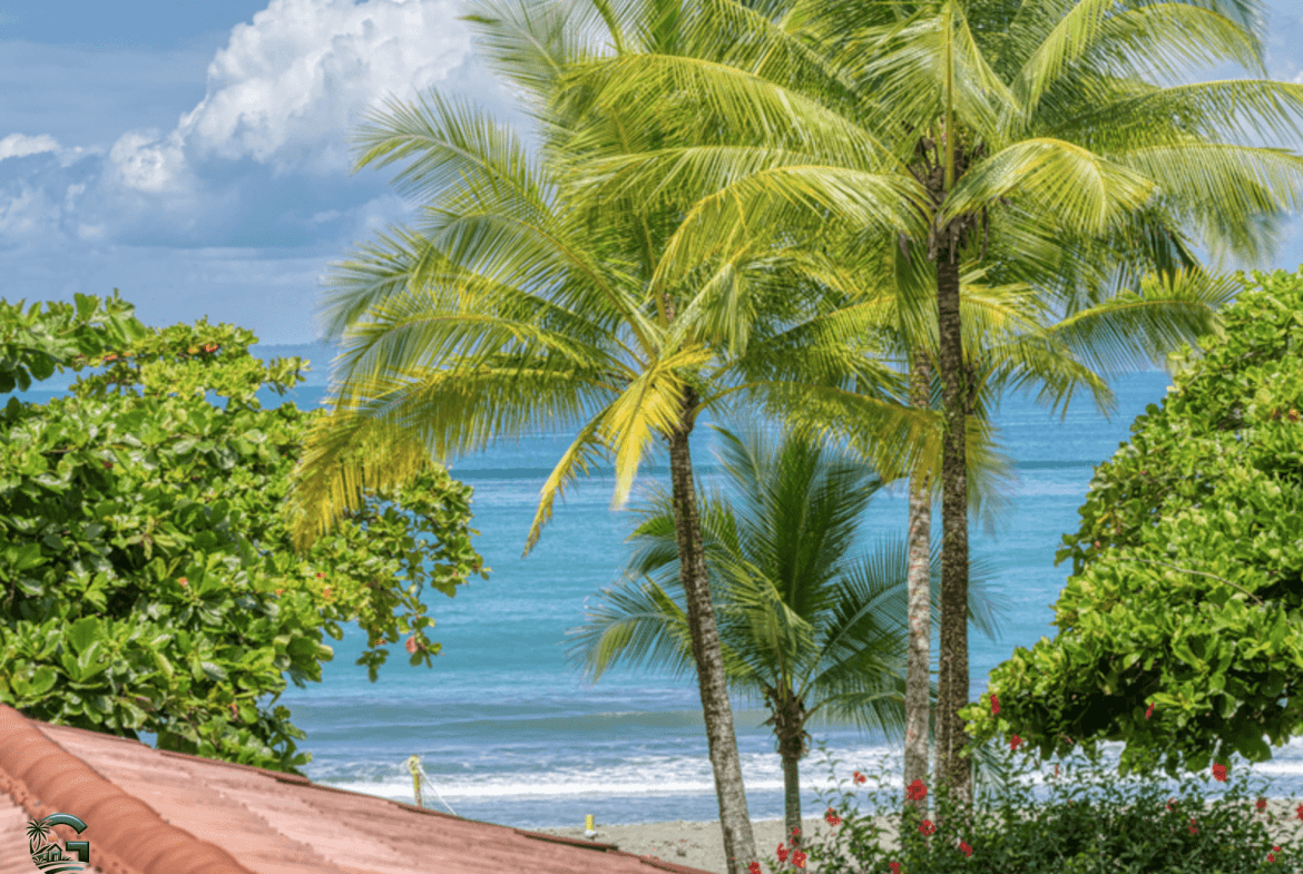 צילום מסך 2024-02-02 ב-9.54.28