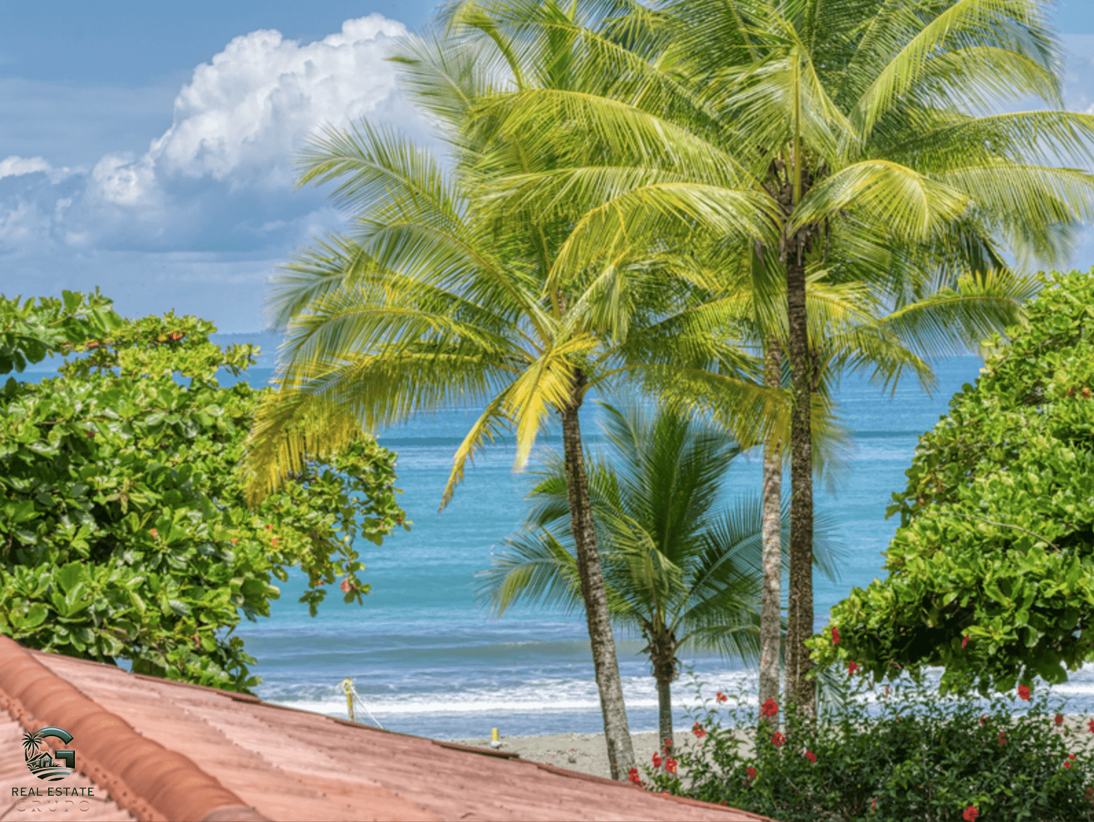 צילום מסך 2024-02-02 ב-9.54.28