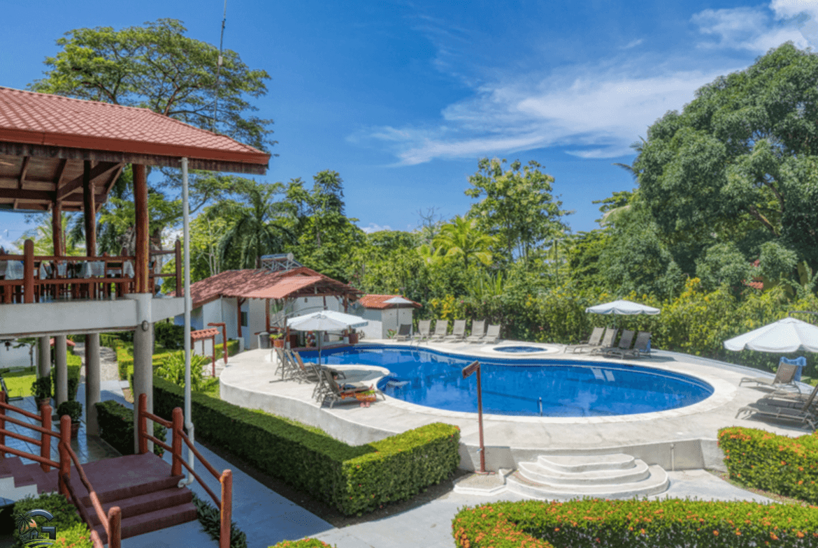 צילום מסך 2024-02-02 ב-9.54.32