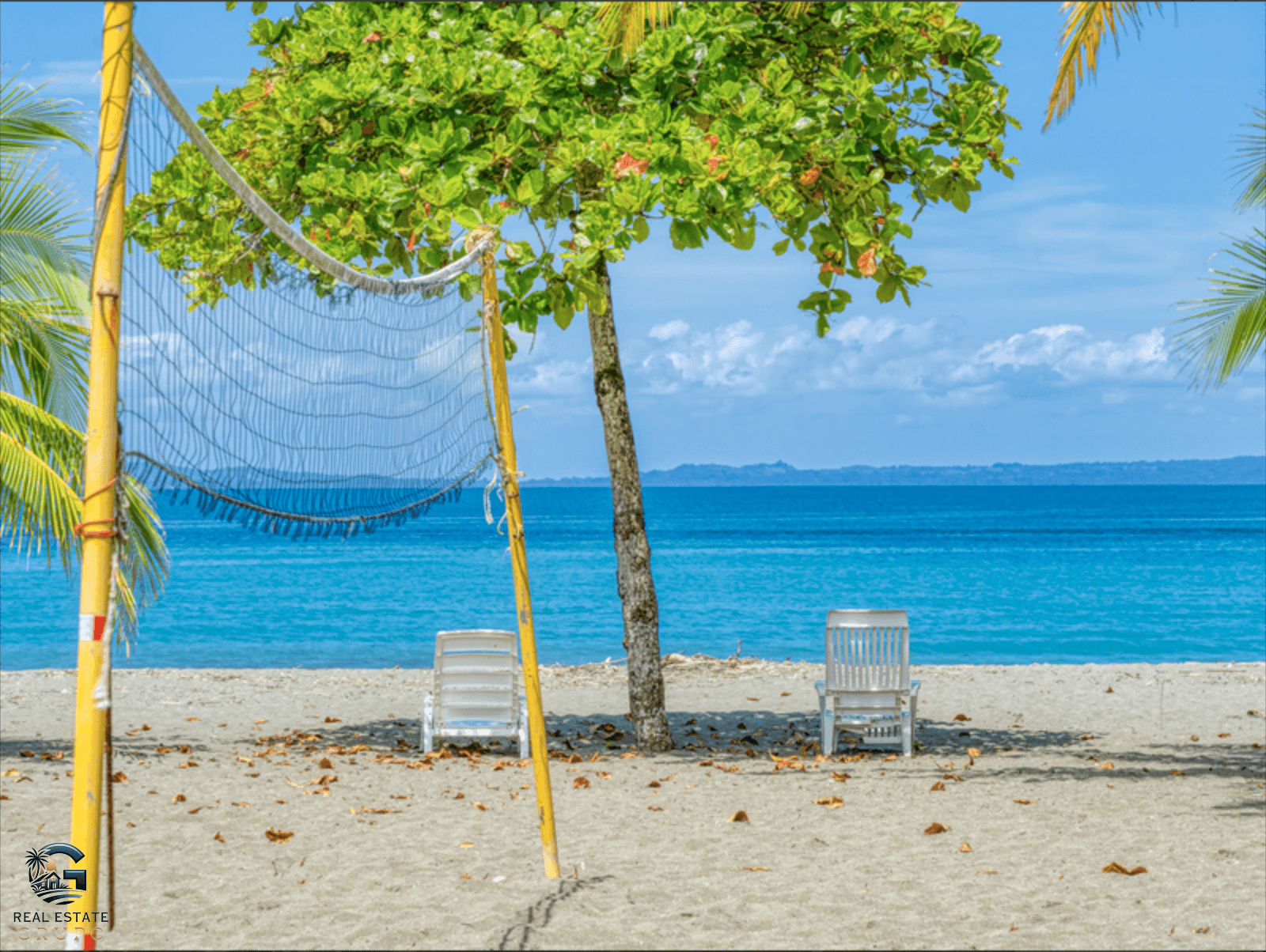 צילום מסך 2024-02-02 ב-9.54.53