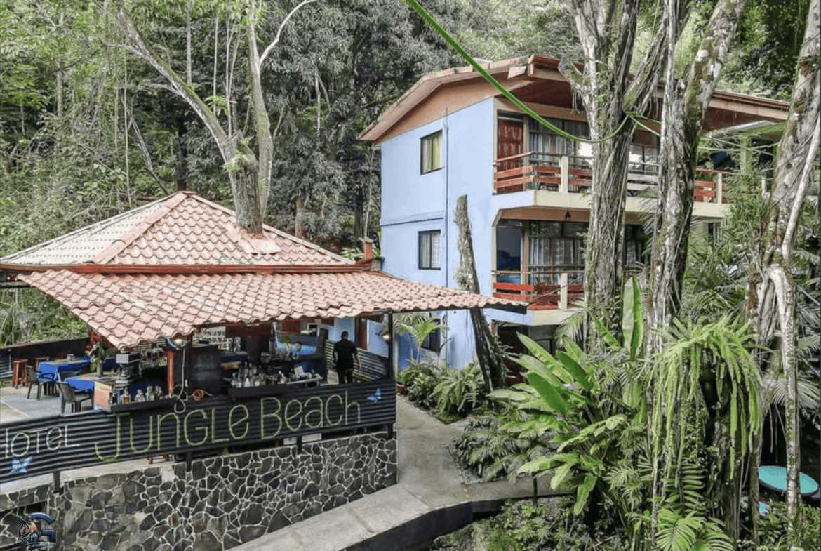 צילום מסך 2024-02-04 ב-13.11.49