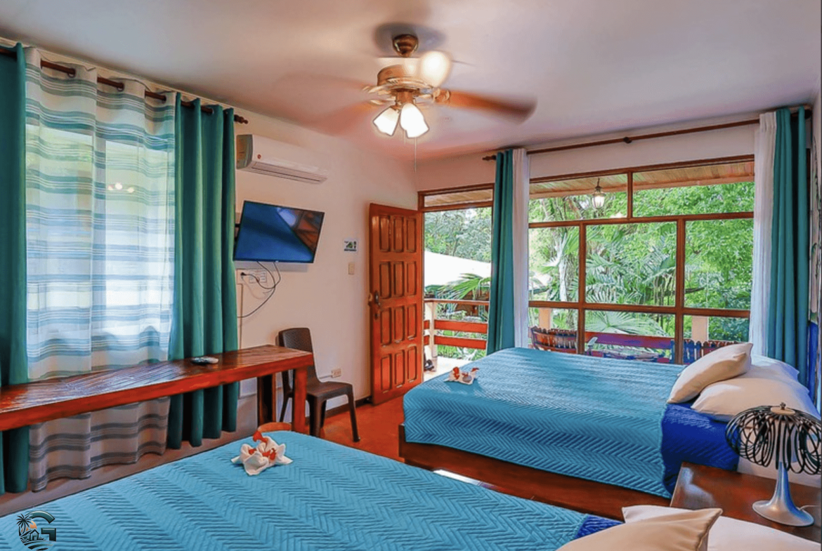 צילום מסך 2024-02-04 ב-13.12.14