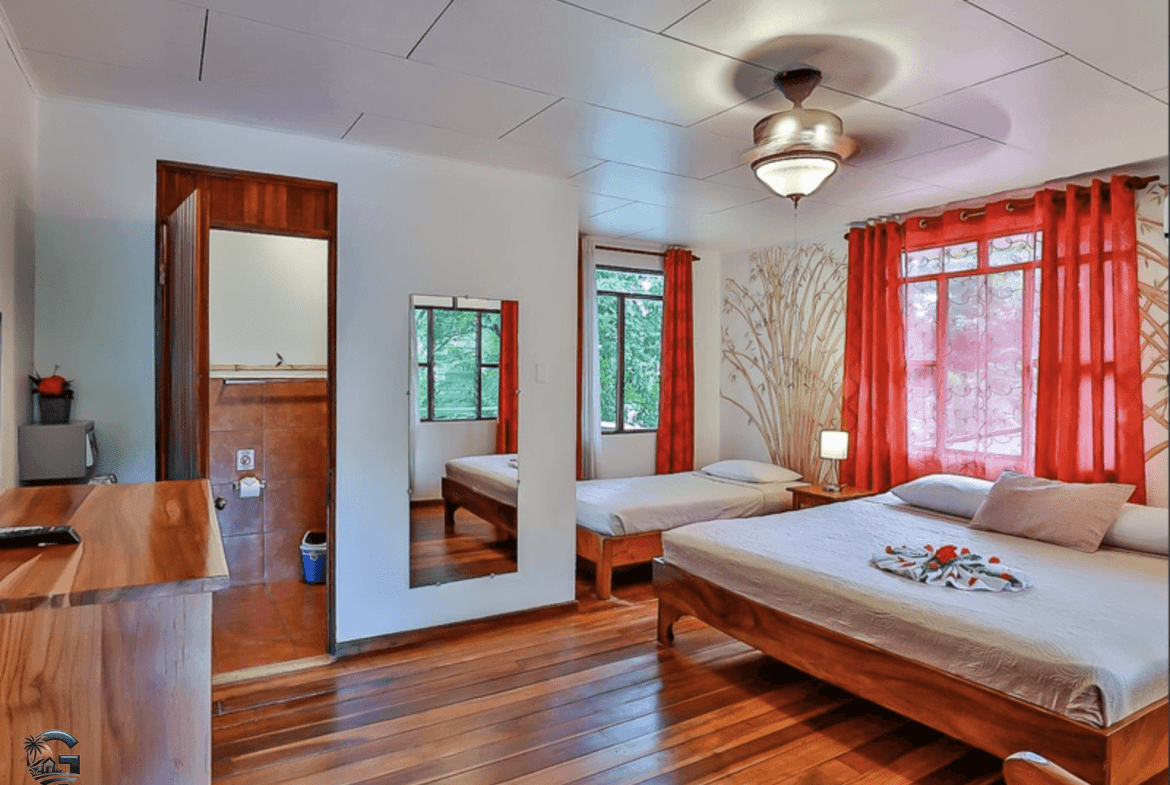 צילום מסך 2024-02-04 ב-13.13.13