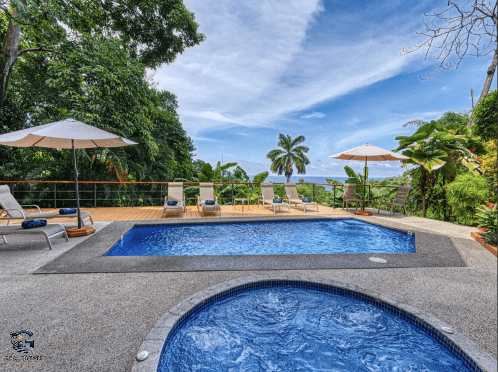 צילום מסך 2024-02-04 ב-13.44.58