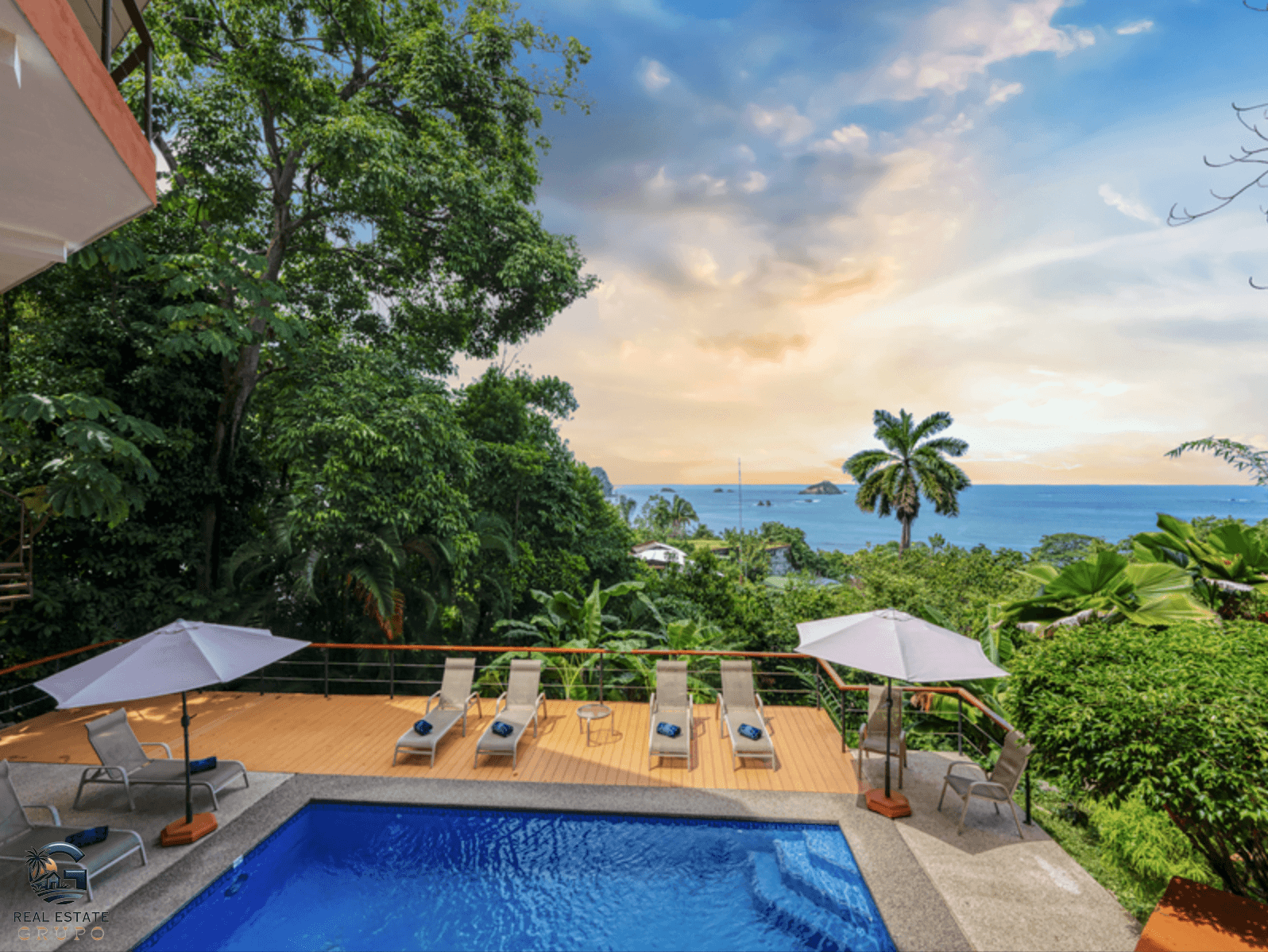 צילום מסך 2024-02-04 ב-13.45.29