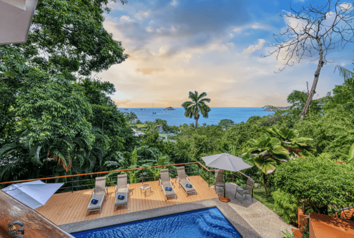 צילום מסך 2024-02-04 ב-13.45.50