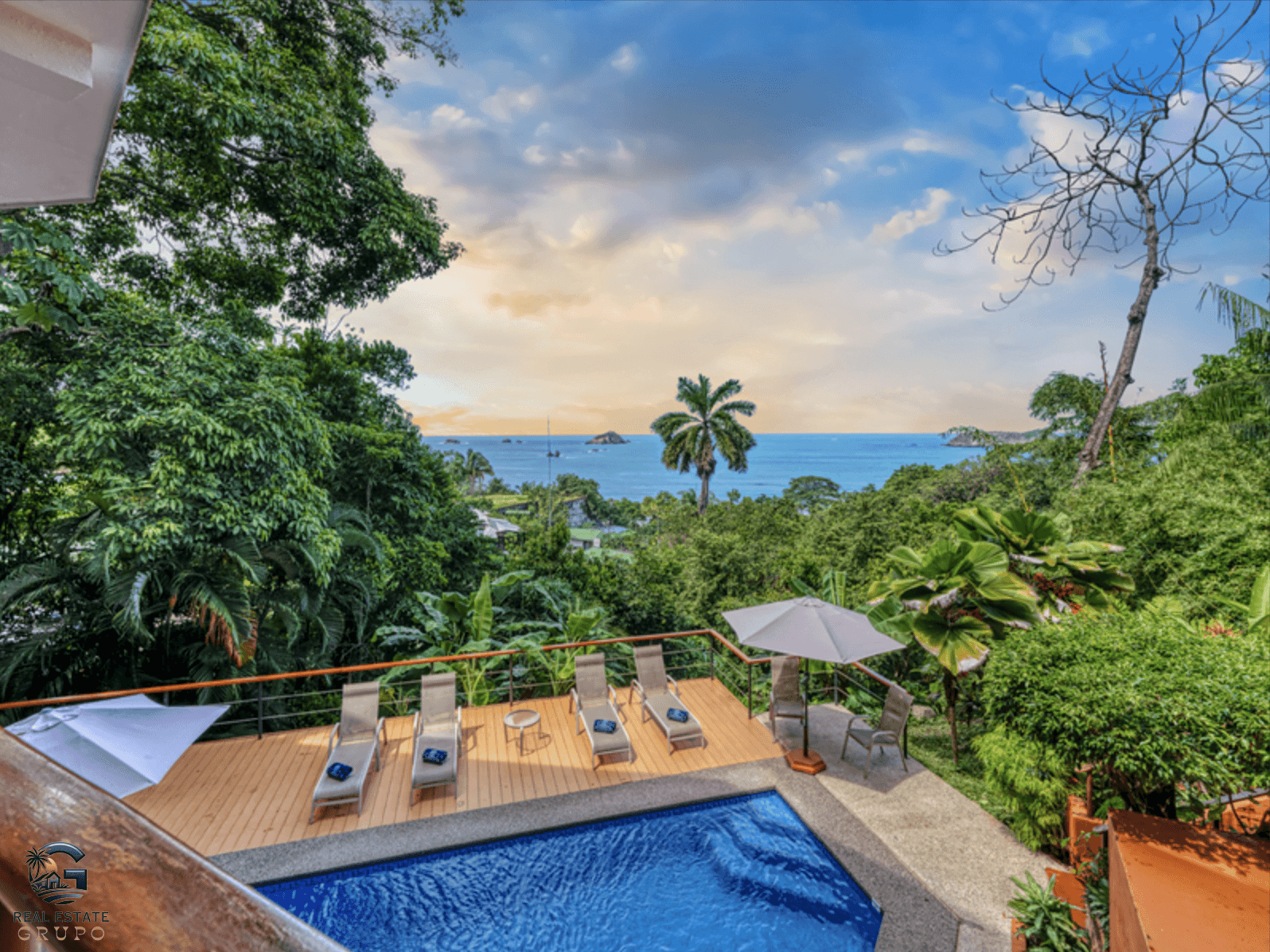 צילום מסך 2024-02-04 ב-13.45.50