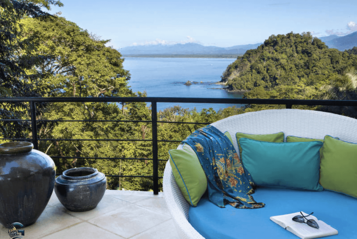 צילום מסך 2024-02-04 ב-16.19.57