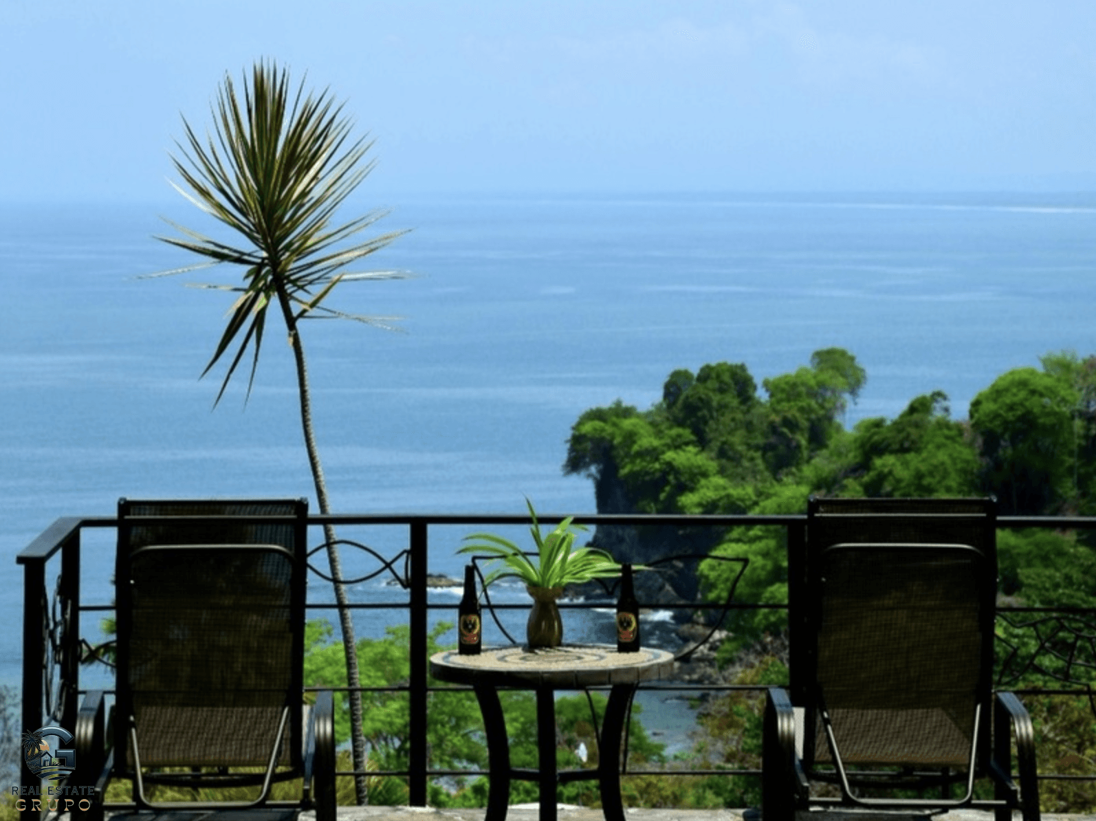 צילום מסך 2024-02-04 ב-16.37.45