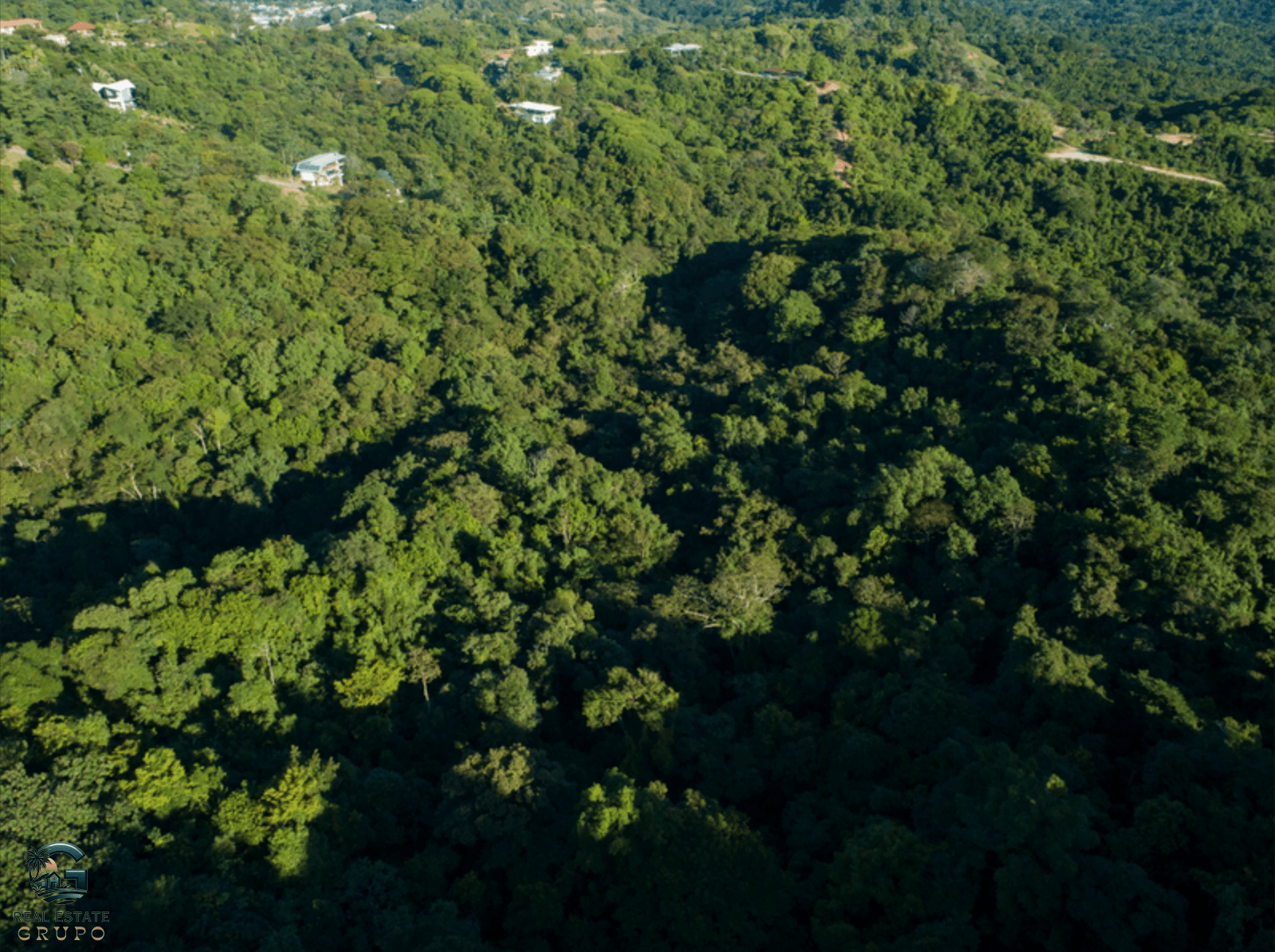 צילום מסך 2024-02-04 ב-16.50.34