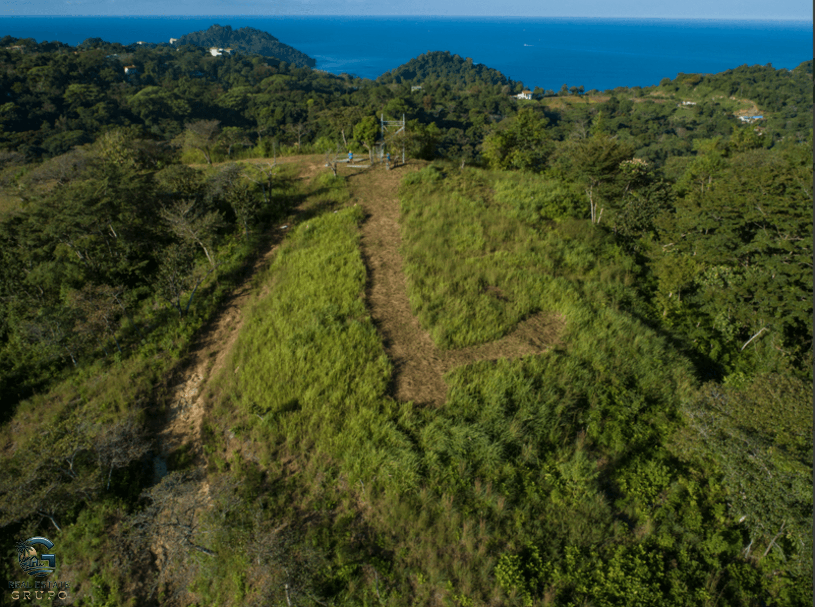 צילום מסך 2024-02-04 ב-16.53.22