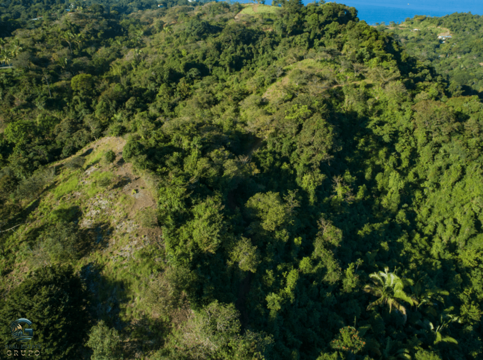 צילום מסך 2024-02-04 ב-16.53.28