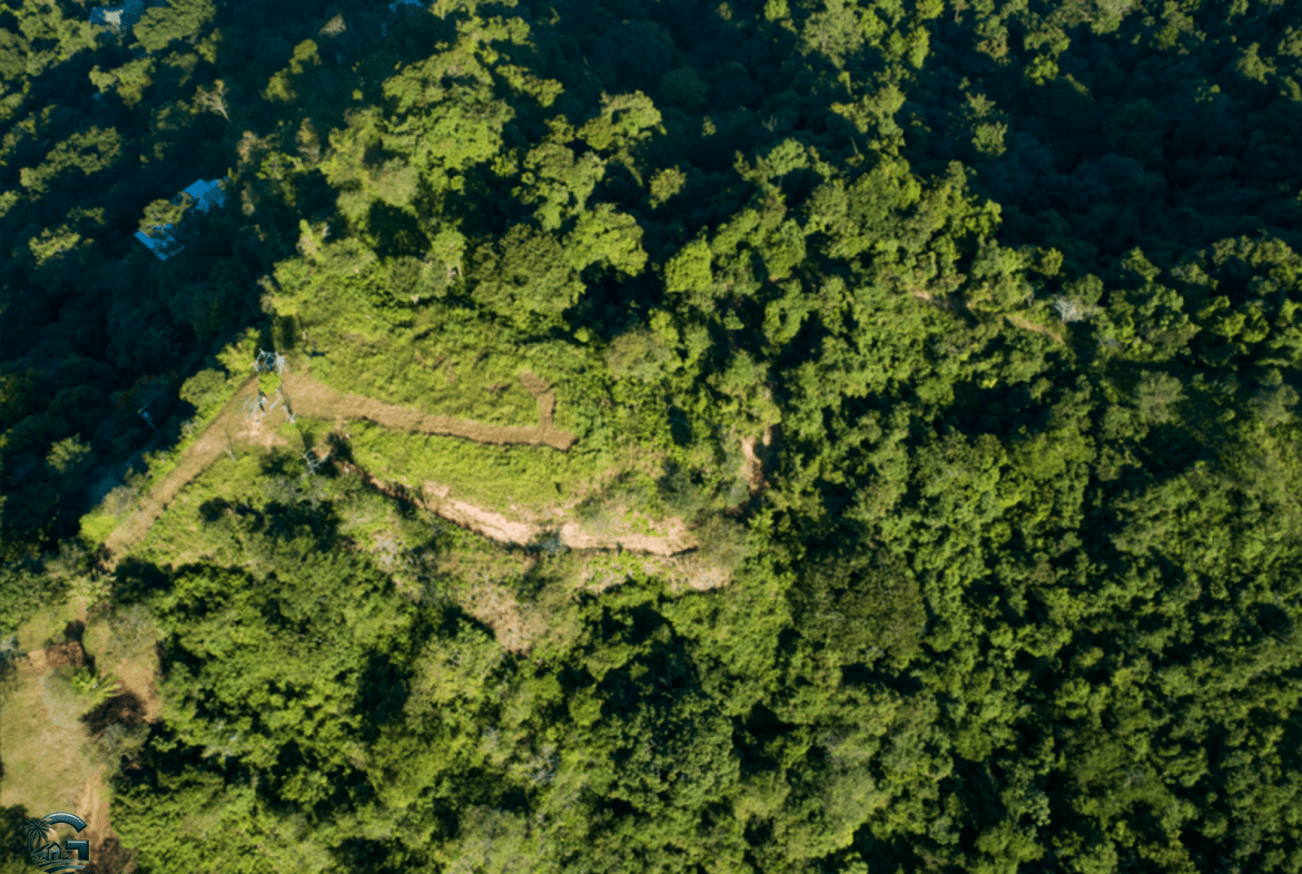 צילום מסך 2024-02-04 ב-16.53.38