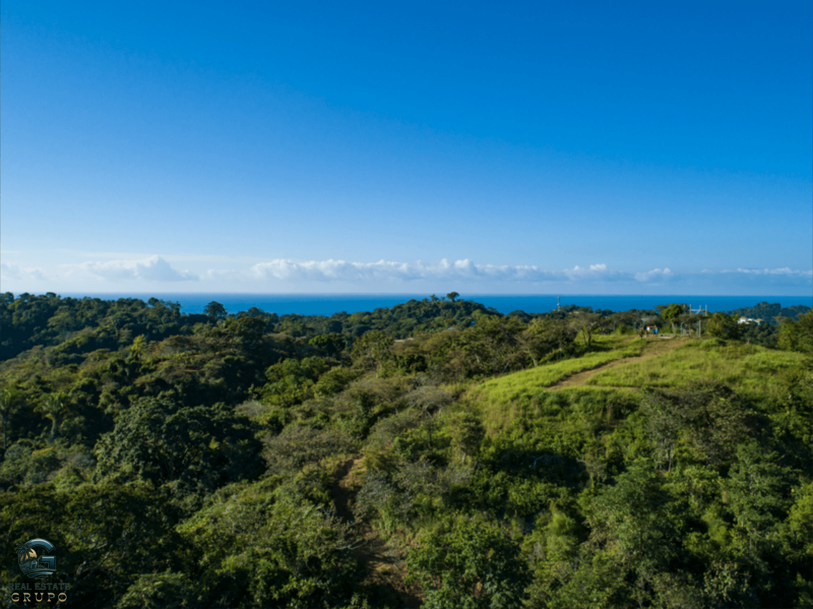 צילום מסך 2024-02-04 ב-16.53.51