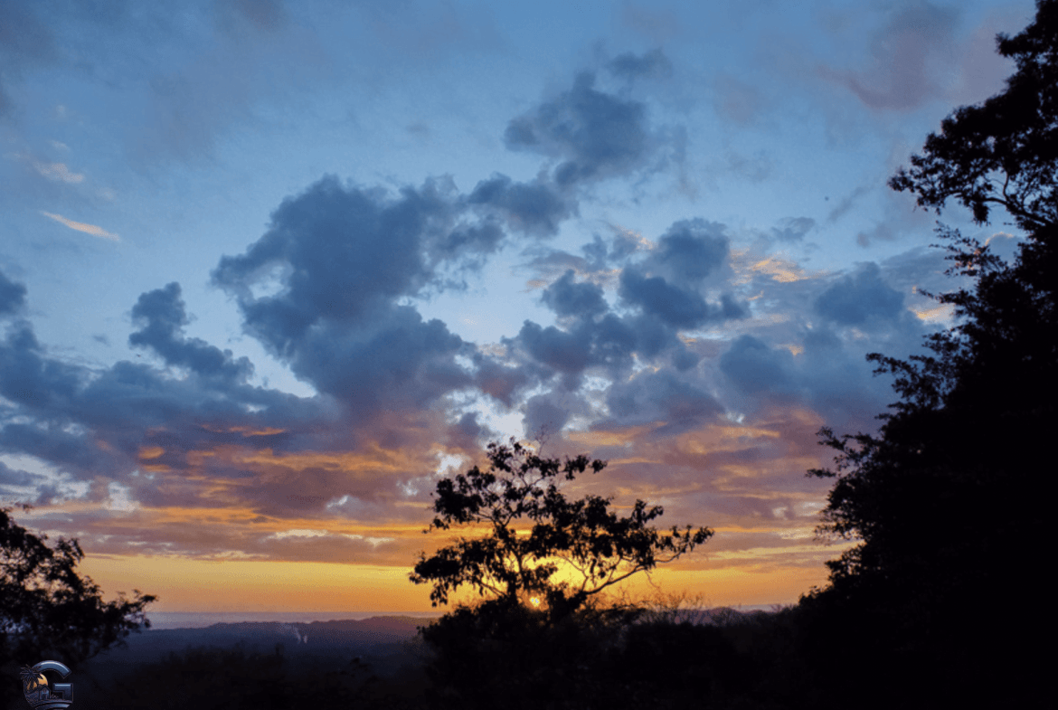 צילום מסך 2024-02-04 ב-17.30.18