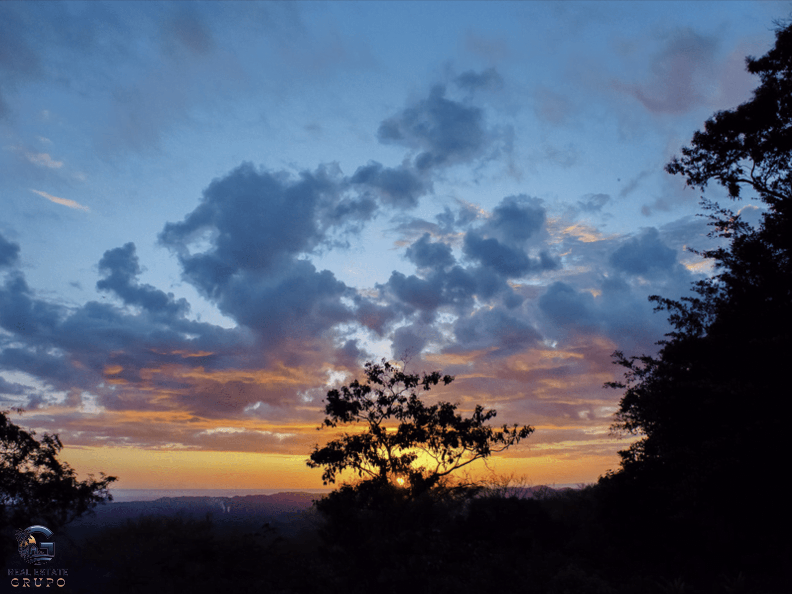 צילום מסך 2024-02-04 ב-17.30.18