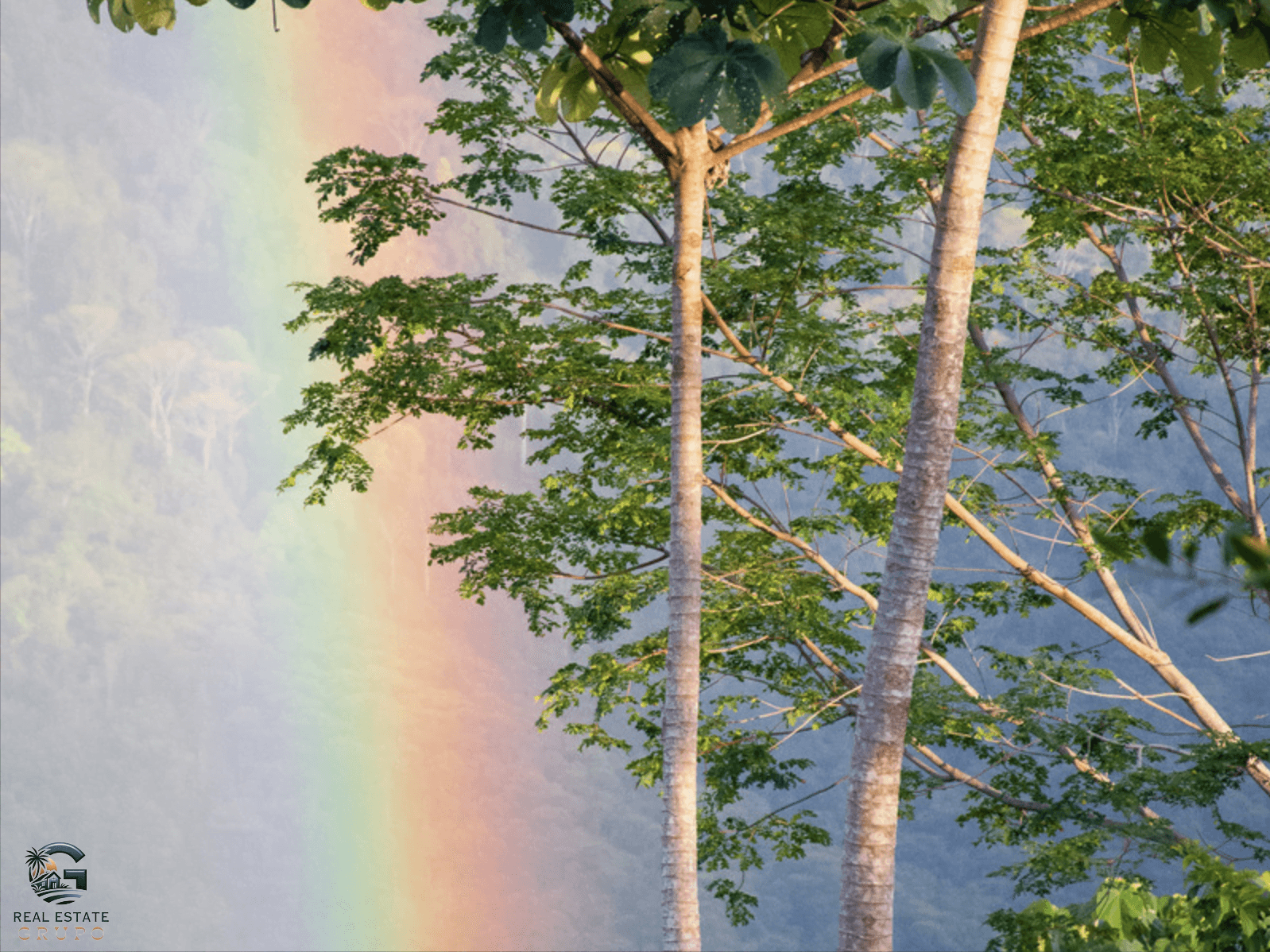 צילום מסך 2024-02-04 ב-17.30.23