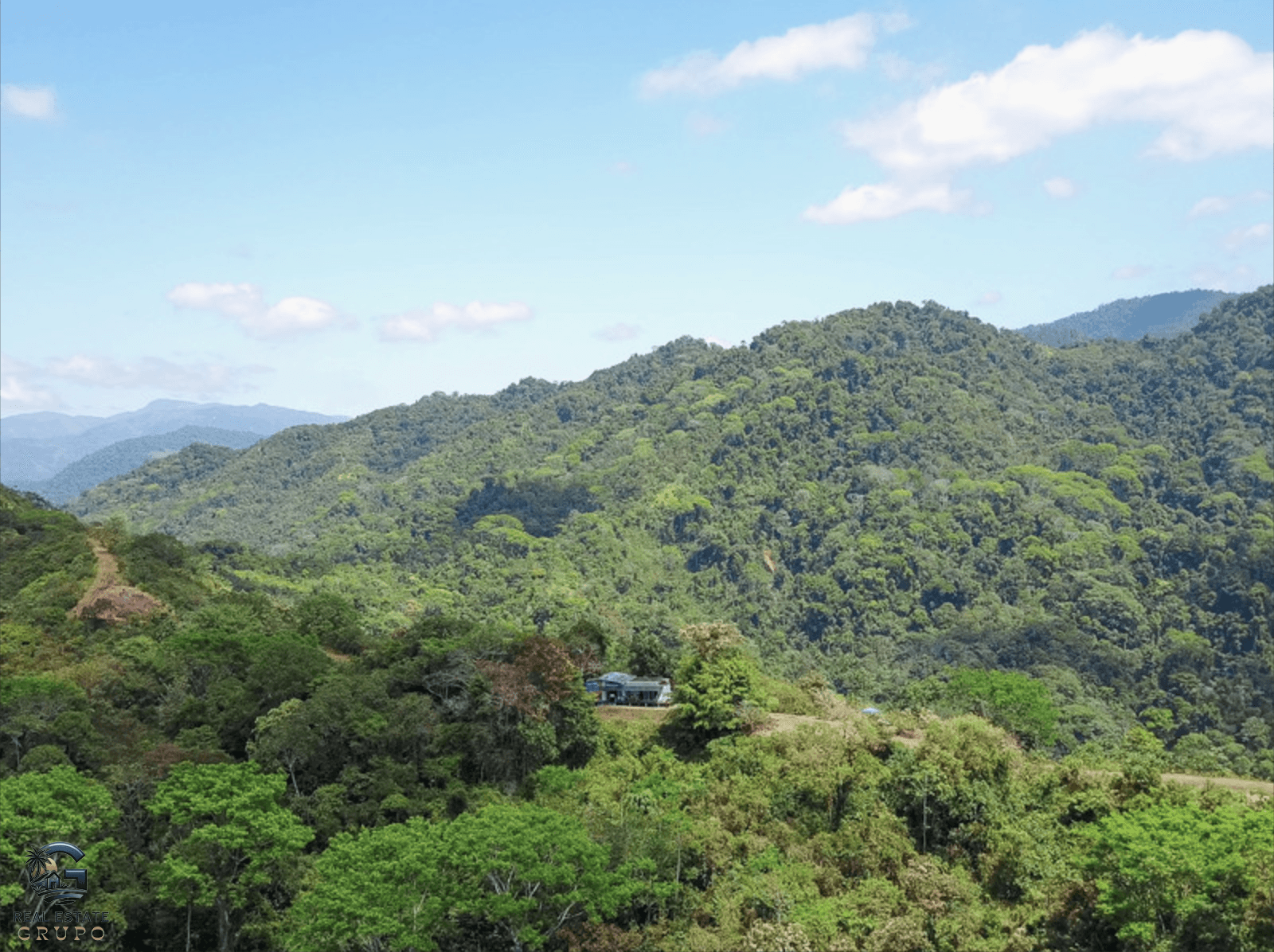 צילום מסך 2024-02-04 ב-17.31.17