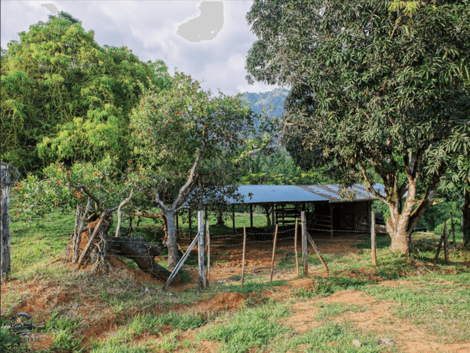 צילום מסך 2024-02-04 ב-17.31.23