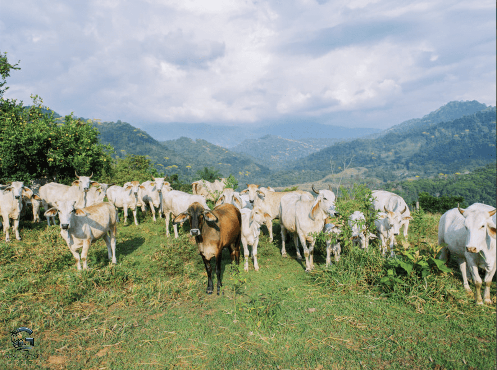 צילום מסך 2024-02-04 ב-17.31.33