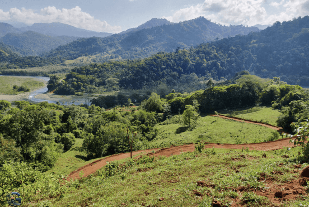 צילום מסך 2024-02-04 ב-17.31.39