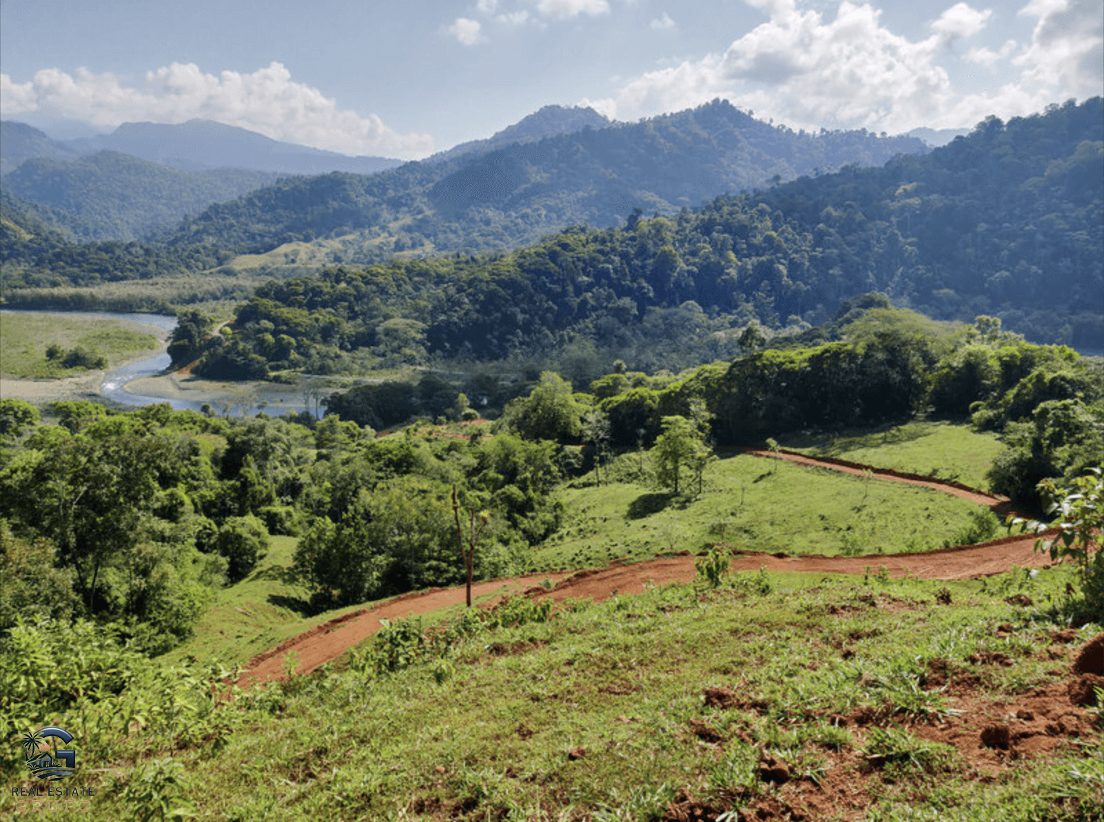 צילום מסך 2024-02-04 ב-17.31.39